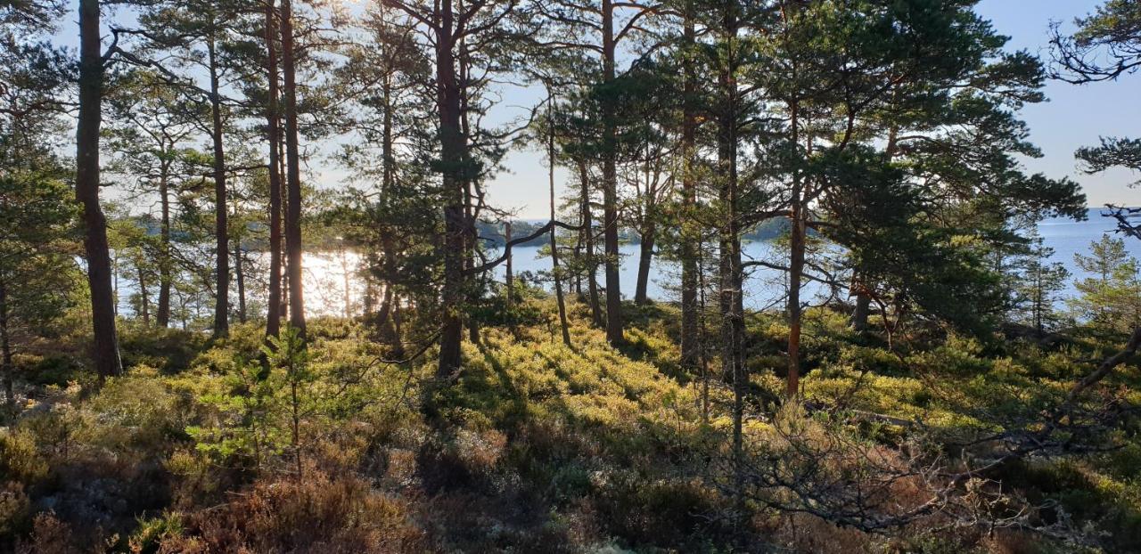 Hotel Rolfskaerrs Stugby Nygård Esterno foto